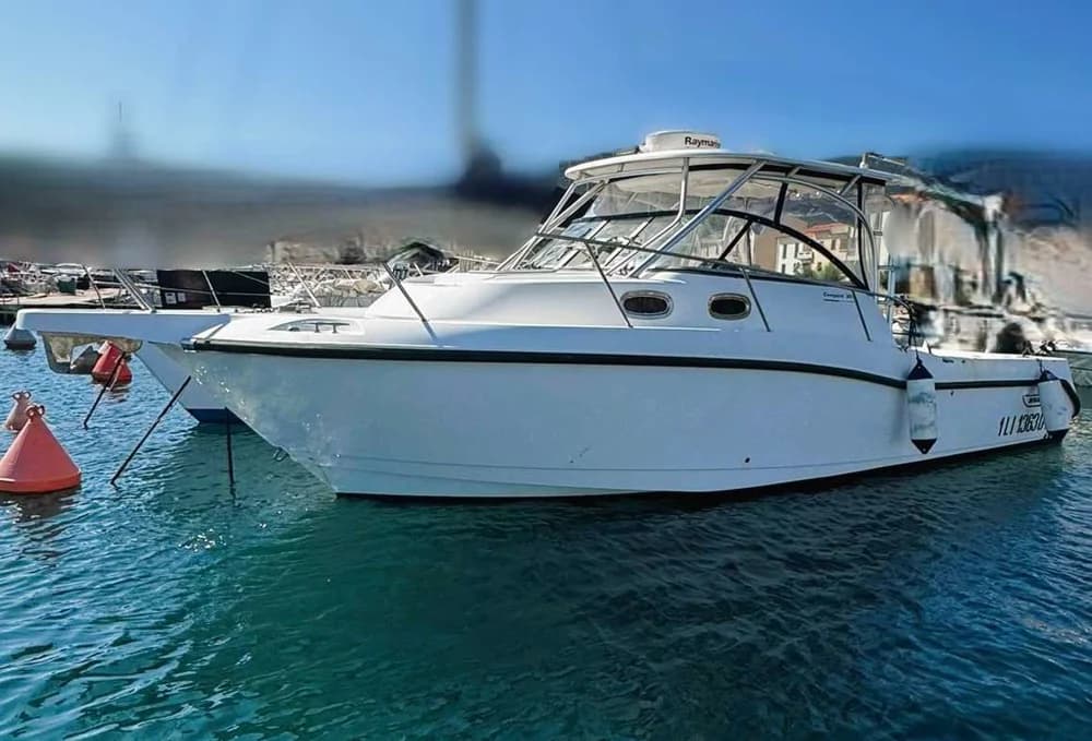 Boston Whaler 305