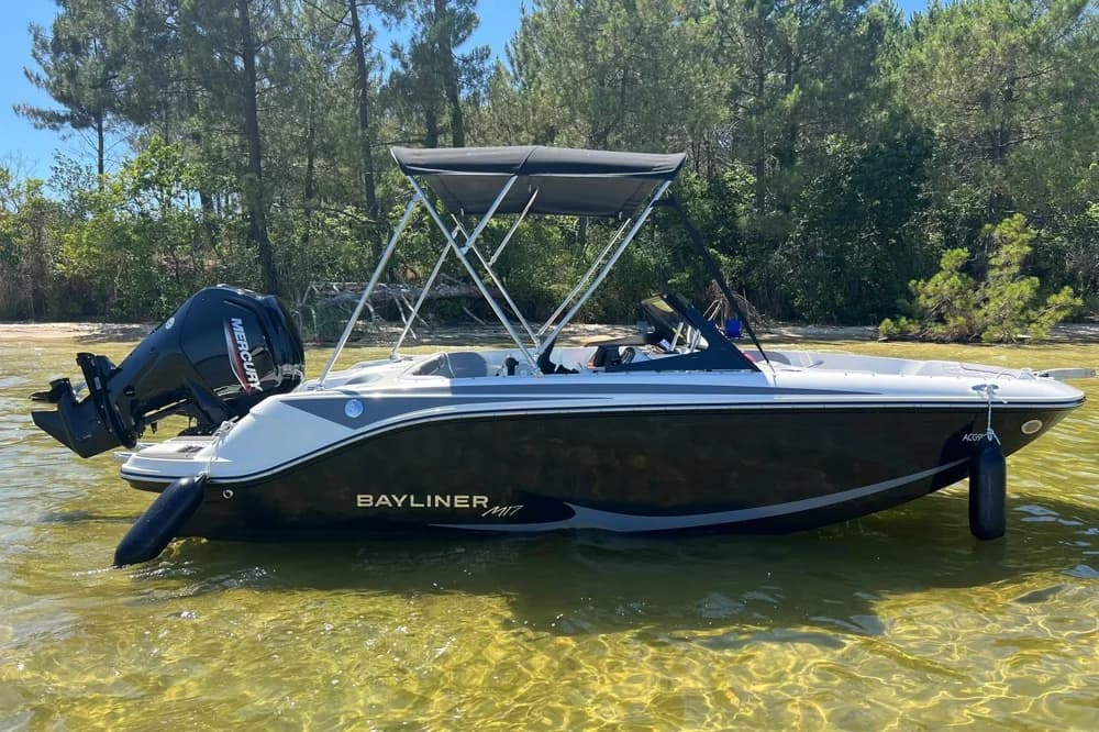 2026 Bayliner M17