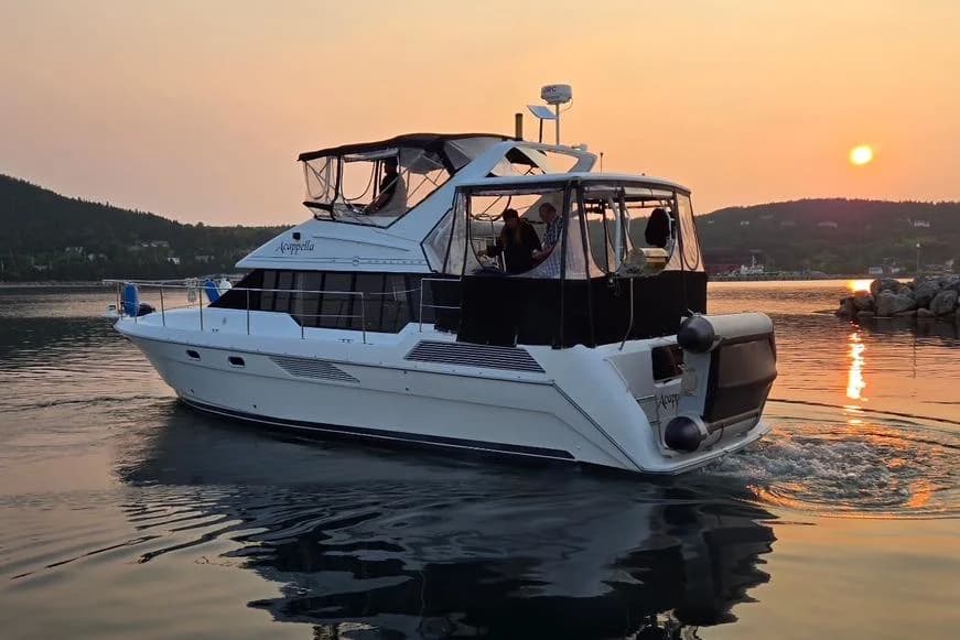 1994 Bayliner 4387 Motoryacht | 43.1 ft