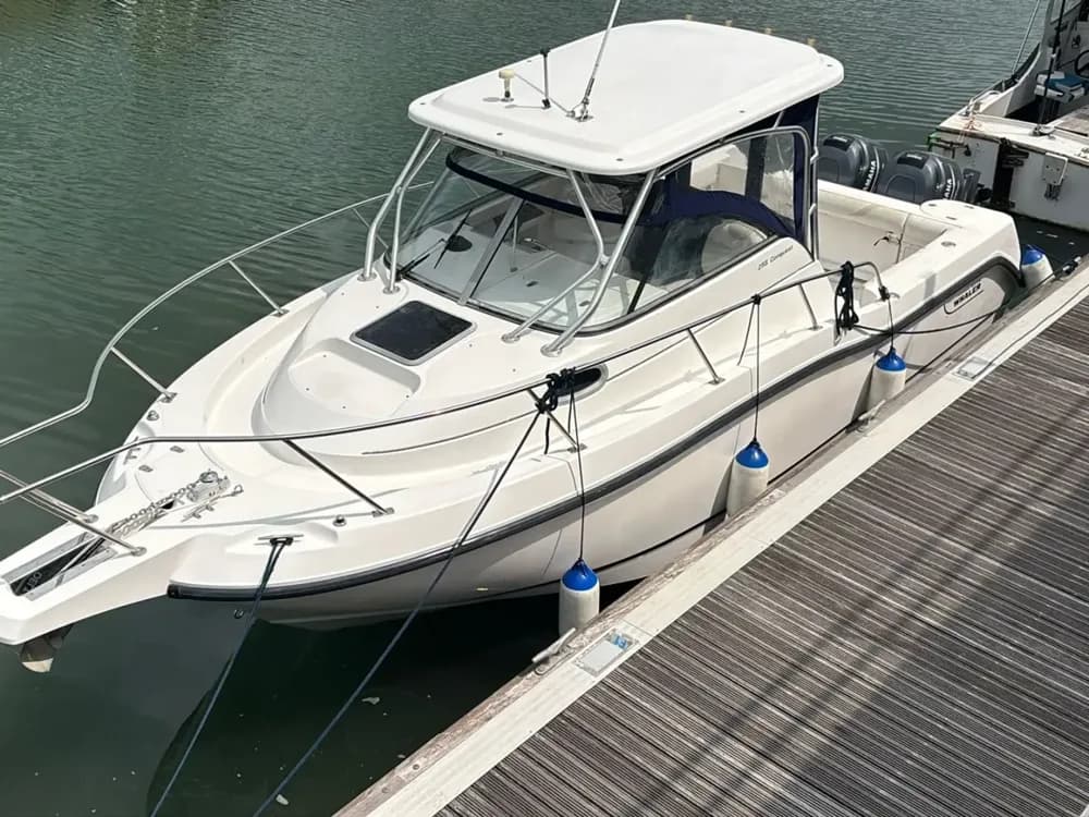 2004 Boston Whaler 255 Conquest Boat for Sale in Portchester