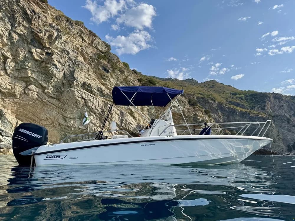 Boston Whaler Dauntless 230