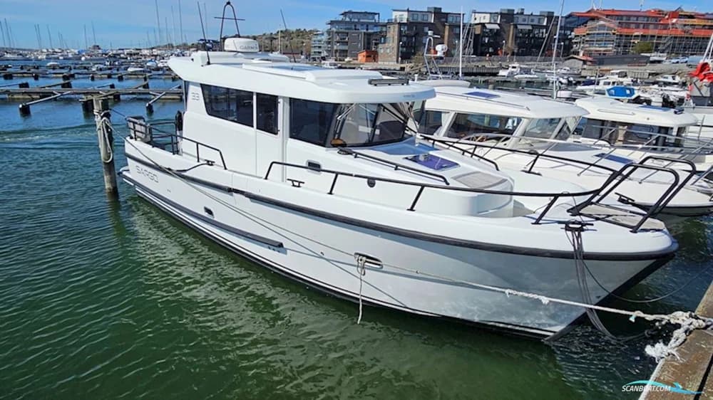 Sargo 33