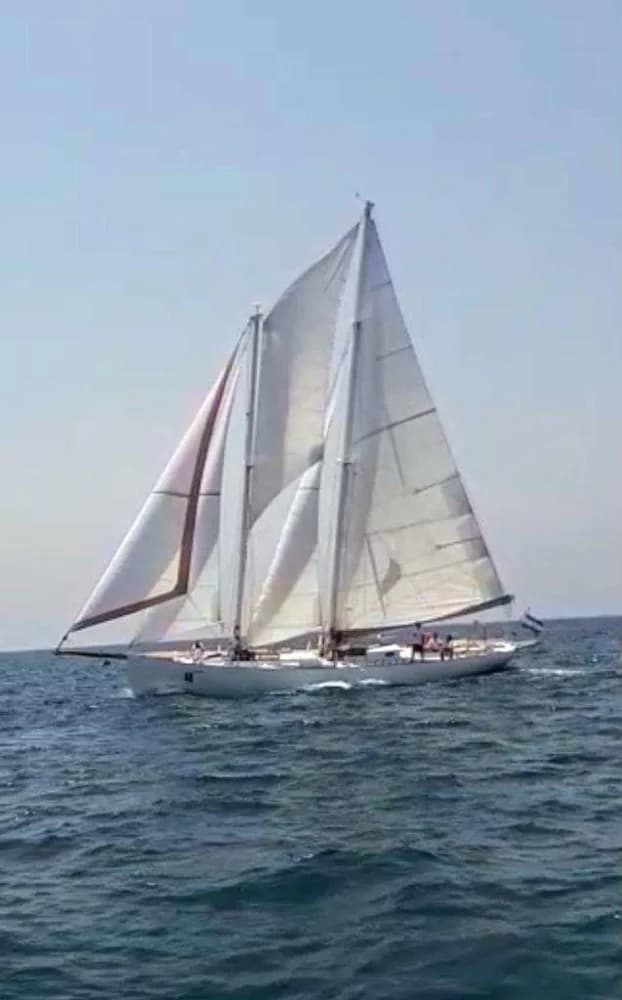 SCIARRELLI 50