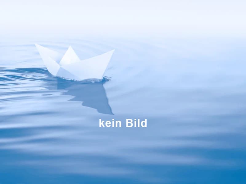 Cruisers 440 Express (Motorboot) - Verkauf